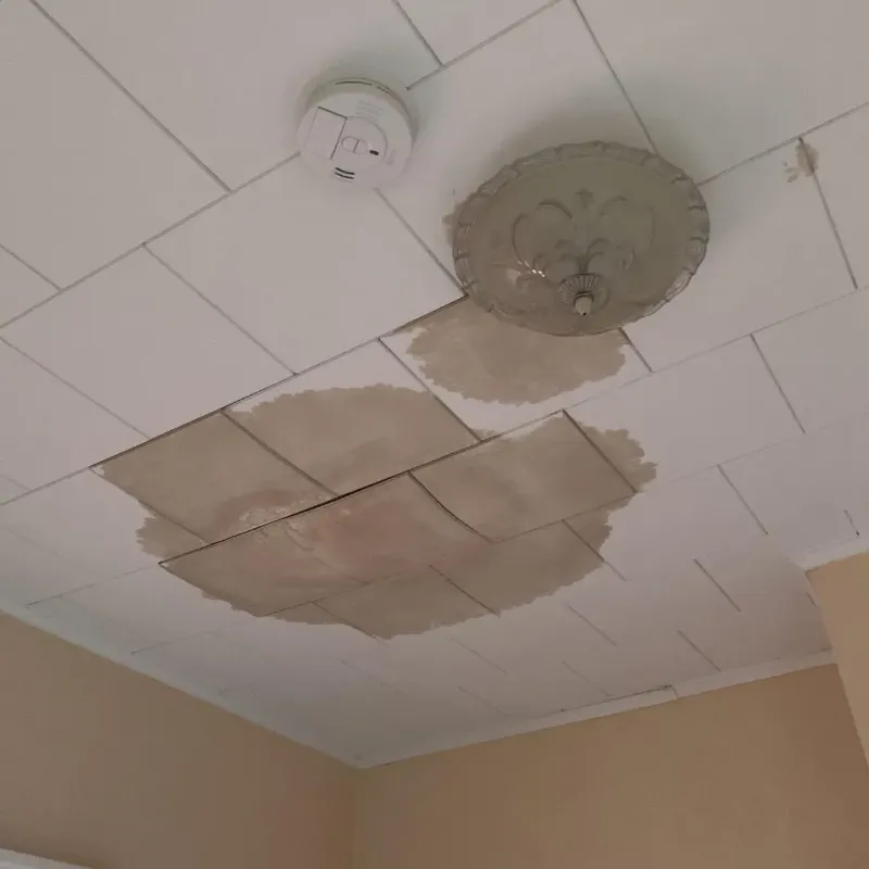 Ceiling Water Damage Repair in Belle Fourche, SD