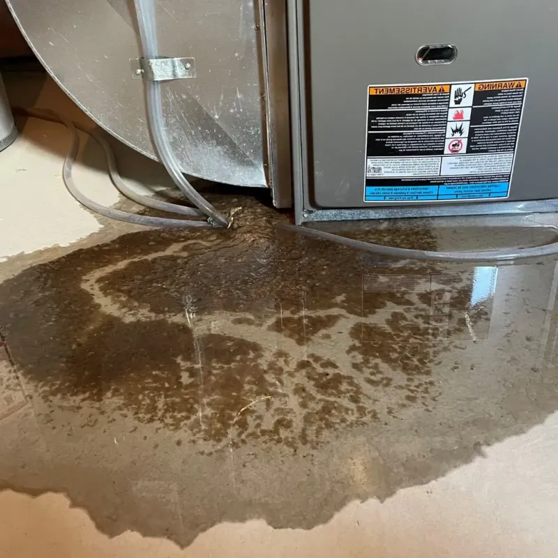 Pipe Burst and Leak Restoration in Belle Fourche, SD