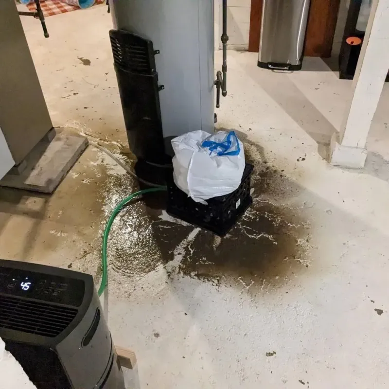 Sewage Backup Cleanup Service in Belle Fourche, SD